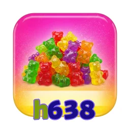 h638